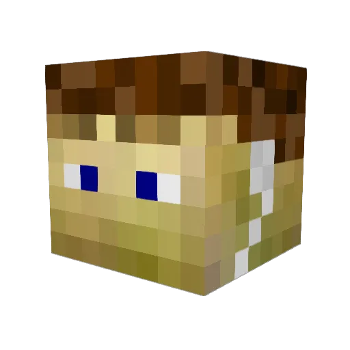 Paygauge Minecraft avatar head, 3D render