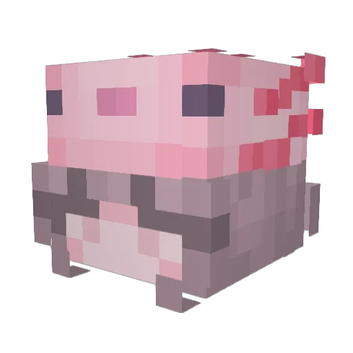 Payke_ Minecraft avatar head, 3D render