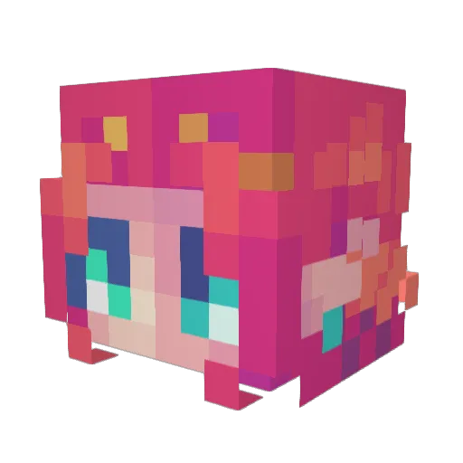 Payn_lpb Minecraft avatar head, 3D render
