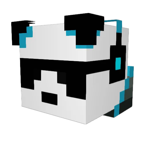 Payne822 Minecraft avatar head, 3D render