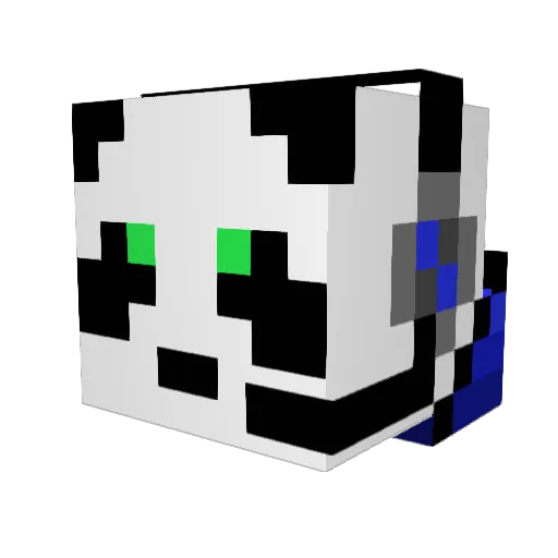 Payson307 Minecraft avatar head, 3D render