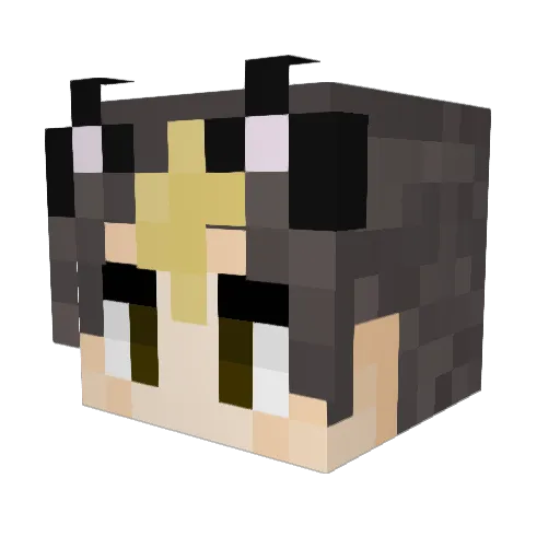 Payten Minecraft avatar head, 3D render