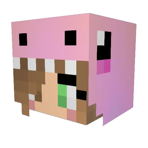 Paz3 Minecraft avatar head, 3D render
