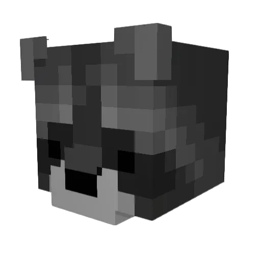 Pazai Minecraft avatar head, 3D render