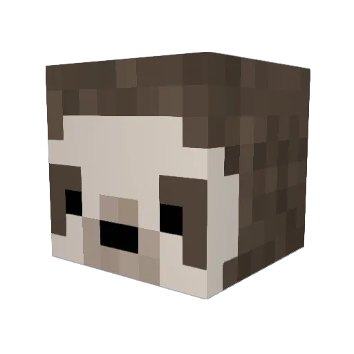 PaziG Minecraft avatar head, 3D render