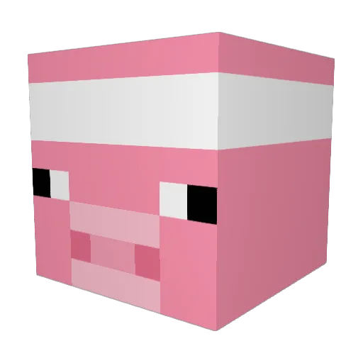 Pazoop19 Minecraft avatar head, 3D render