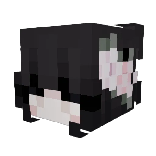 Pbjelly22 Minecraft avatar head, 3D render