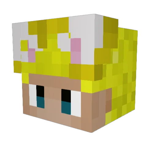Pcasoo Minecraft avatar head, 3D render