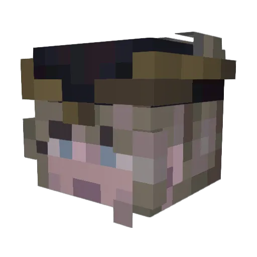 Pce_81_104_12_17 Minecraft avatar head, 3D render