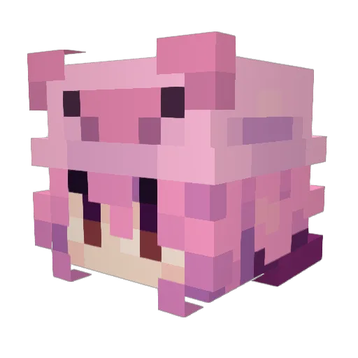 Pcerdin Minecraft avatar head, 3D render