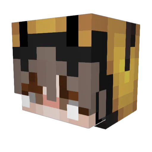 Pch1l Minecraft avatar head, 3D render
