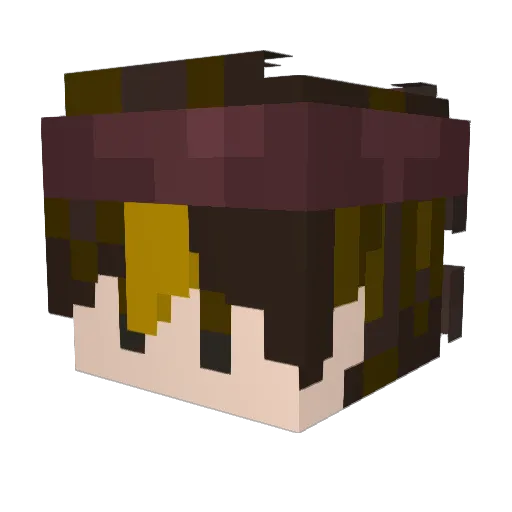 Pclark4422 Minecraft avatar head, 3D render