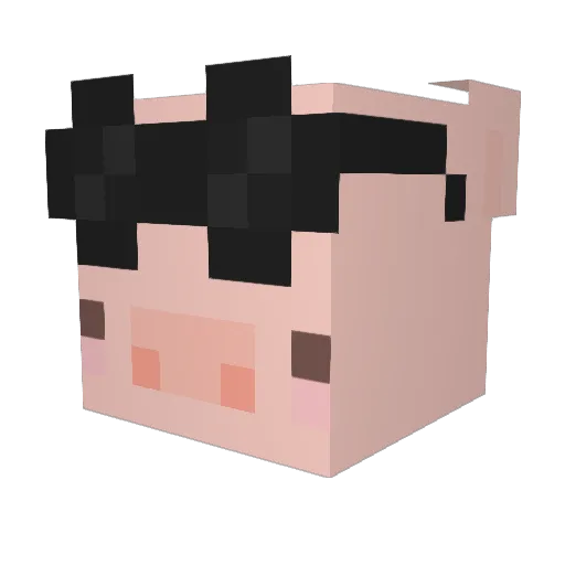 Pcrkk Minecraft avatar head, 3D render
