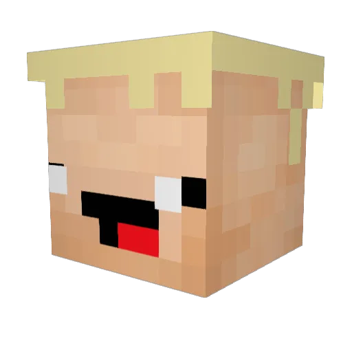 PdD20 Minecraft avatar head, 3D render