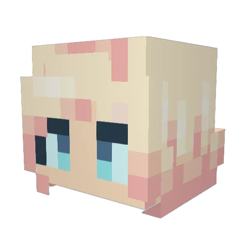 Pdaddyking Minecraft avatar head, 3D render