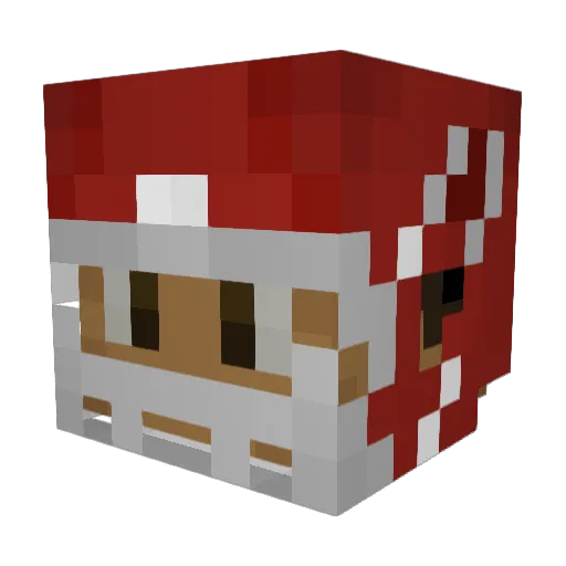 PddY_ Minecraft avatar head, 3D render
