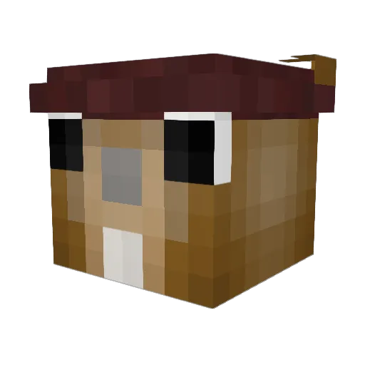 Pe3tr Minecraft avatar head, 3D render