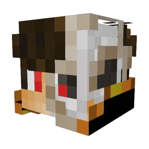 PeNoch__ Minecraft avatar head, 3D render