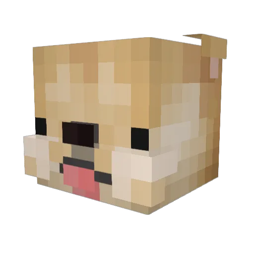 PeTeR_892 Minecraft avatar head, 3D render