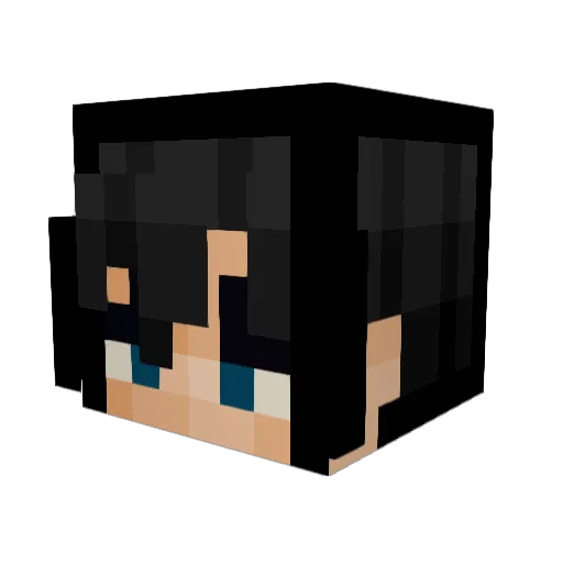 Pea21 Minecraft avatar head, 3D render
