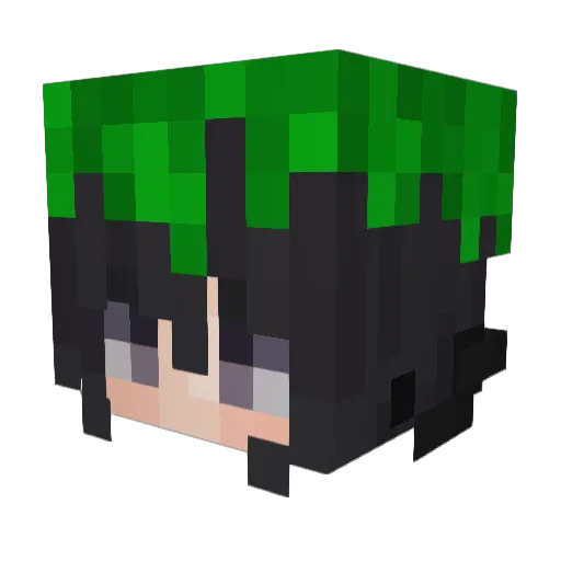 Peace213 Minecraft avatar head, 3D render