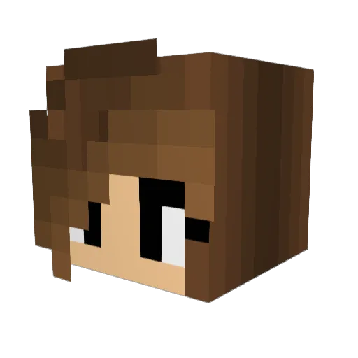 PeaceBacon Minecraft avatar head, 3D render