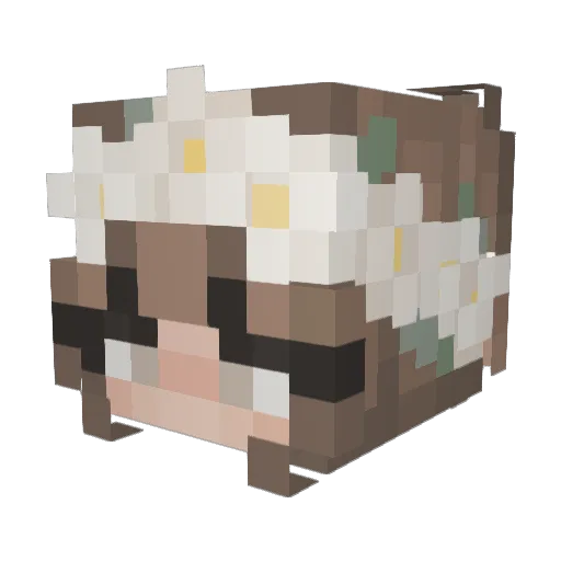 Peace_Goose Minecraft avatar head, 3D render