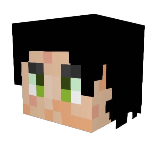 Peace_water Minecraft avatar head, 3D render
