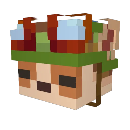 PeacefulBarry Minecraft avatar head, 3D render