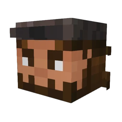 PeacefulLog Minecraft avatar head, 3D render