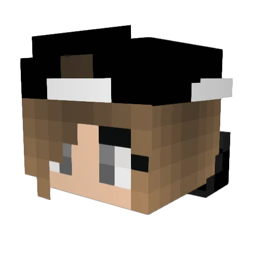 Peaceful_Madness Minecraft avatar head, 3D render