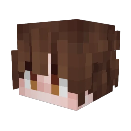 Minecraft-Avatar von Peaceful_boi: Kopf als 3D-Render