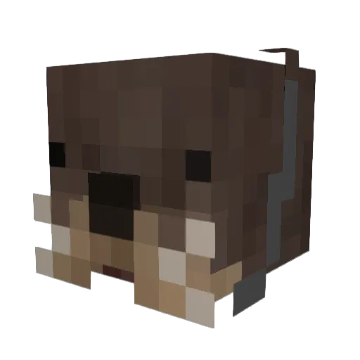 Peacefullmine Minecraft avatar head, 3D render