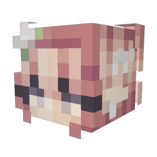 Peaceofsleep Minecraft avatar head, 3D render