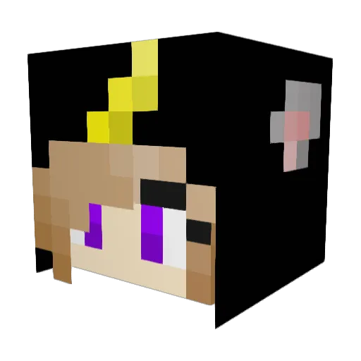 Peaceoutunicorn Minecraft avatar head, 3D render