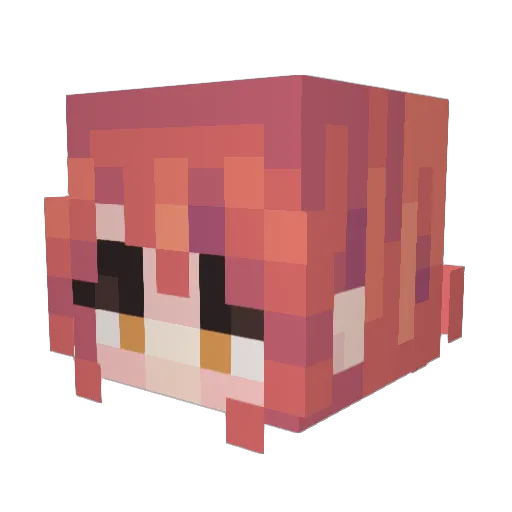 Peacewick Minecraft avatar head, 3D render