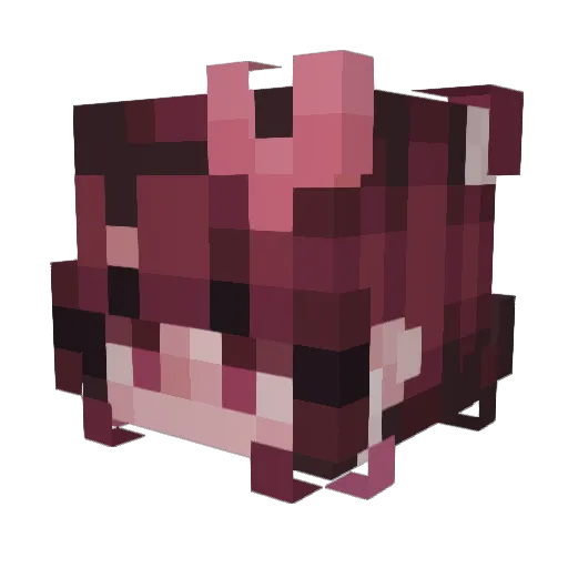 PeachPieeeeeeeee Minecraft avatar head, 3D render