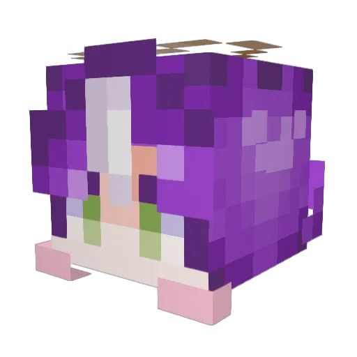 PeachhFlames Minecraft avatar head, 3D render