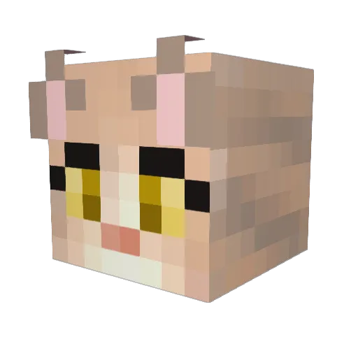 Peachy8 Minecraft avatar head, 3D render