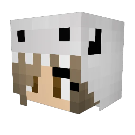 PeachyBongos Minecraft avatar head, 3D render