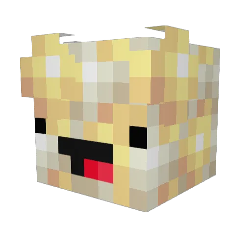 Peacin4Real Minecraft avatar head, 3D render