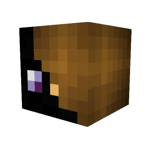 Peacock1018 Minecraft avatar head, 3D render