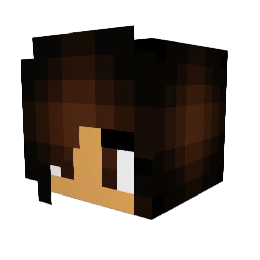 PeacockLord Minecraft avatar head, 3D render