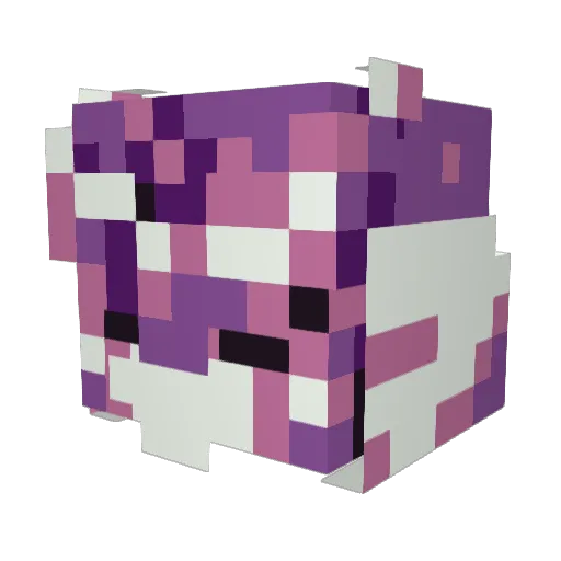 Peacrook Minecraft avatar head, 3D render