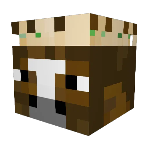 PeakBasilisk789 Minecraft avatar head, 3D render