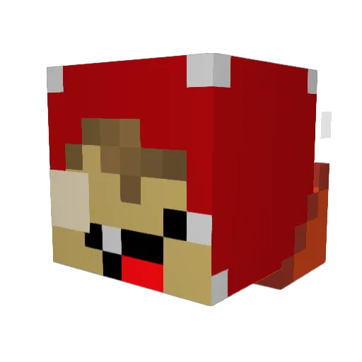 Peak_Ligma_Tuff Minecraft avatar head, 3D render