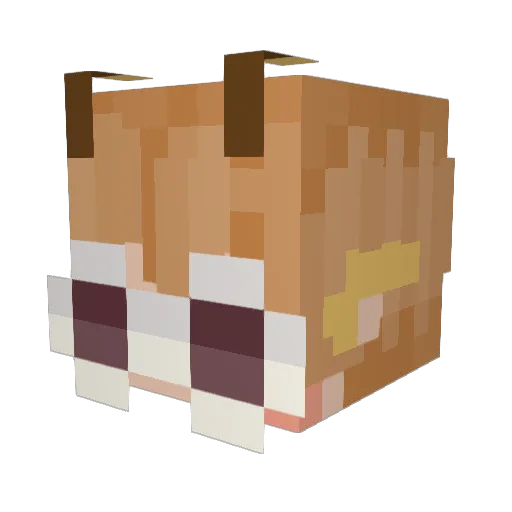 PeanootAllergy Minecraft avatar head, 3D render