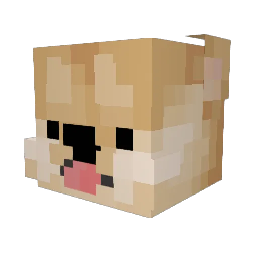 Peanur_0_ Minecraft avatar head, 3D render