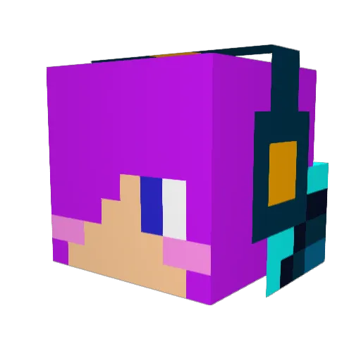 Peanut0416 Minecraft avatar head, 3D render