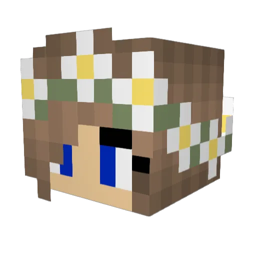 PeanutButter190 Minecraft avatar head, 3D render